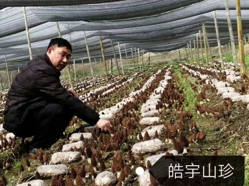 &#20339;&#21338;&#23448;&#26041;&#32593;&#31449;&#95;&#20339;&#21338;&#106;&#105;&#97;&#98;&#111;&#40;&#20013;&#22269;&#41;