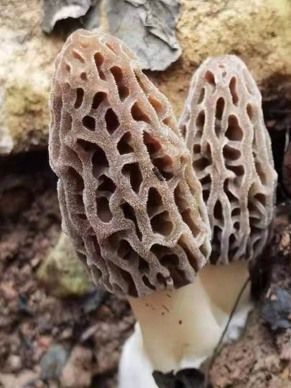 &#20339;&#21338;&#23448;&#26041;&#32593;&#31449;&#95;&#20339;&#21338;&#106;&#105;&#97;&#98;&#111;&#40;&#20013;&#22269;&#41;